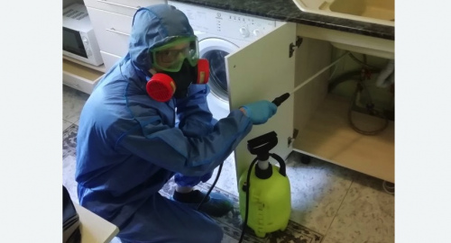 Уничтожение муравьев в квартире. Татарск