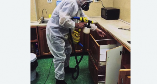Уничтожение насекомых в квартире. Татарск