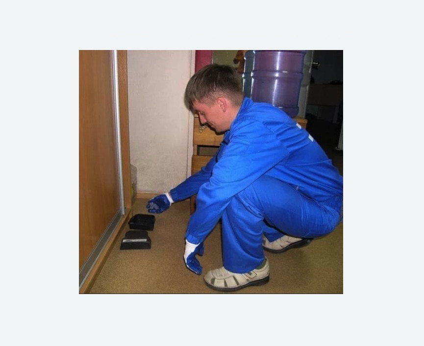 Дератизация крыс в Татарске