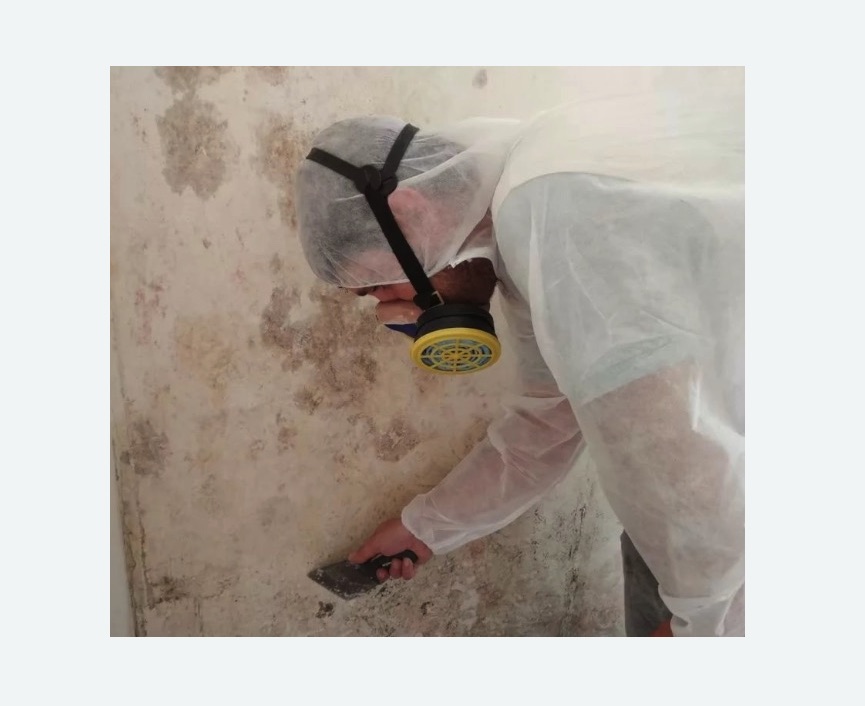 Обработка стен от плесени Обработка стен от плесени в Татарске