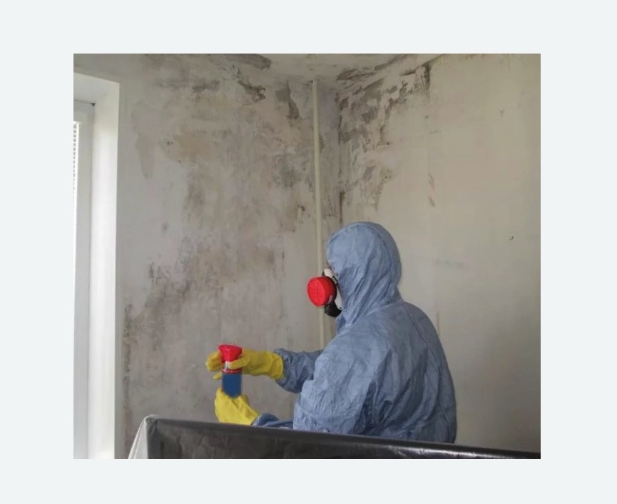 Удаление плесени в квартире Удаление плесени в квартире в Татарске