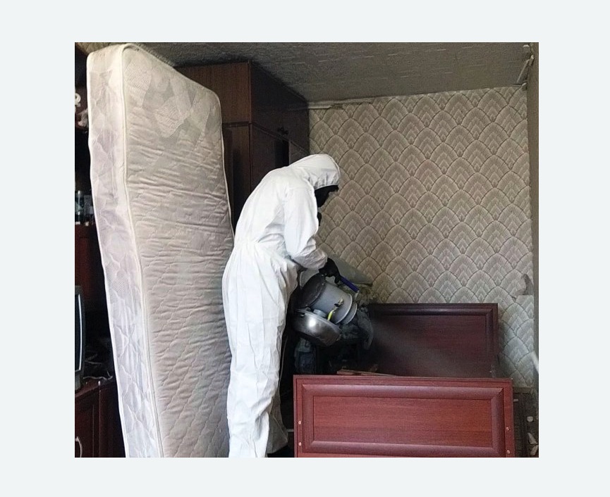 дезинфекция от клопов в Татарске