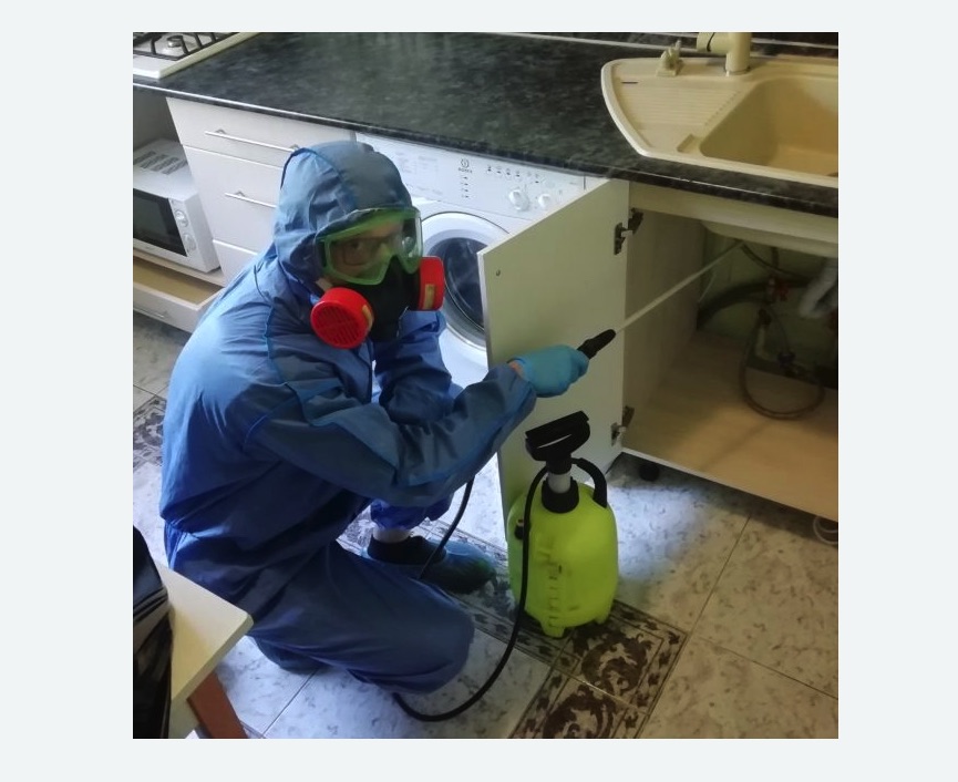 обработка от муравьев в квартире в Татарске